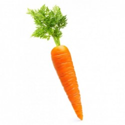 Huile essentiel carotte  10 ml